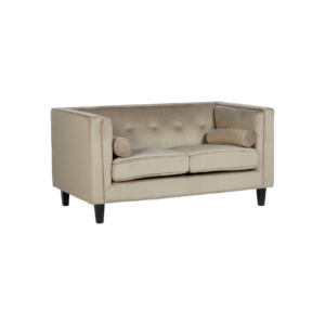 Pale Brown Contemporary Two-Seater Sofa