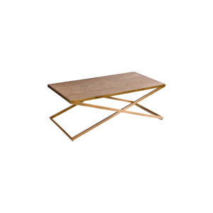 MESA Oak and Gold Coffee Table