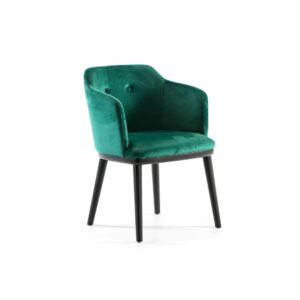 CAELUM Green Velvet Dining Chair featuring plush velvet upholstery and modern design for a stylish dining experience.