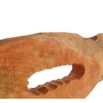 Natural mango wood slice sculpture with hollow centre on black iron base.