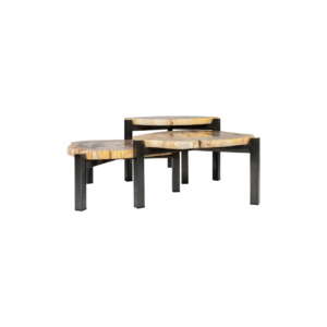 ONO Petrified Wood Set of 3 Tables featuring organic slab fossil tops and dark nickel steel legs – timeless, hand-finished accent tables 50–65 cm wide.