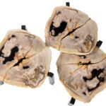 ONO Petrified Wood Set of 3 Tables featuring organic slab fossil tops and dark nickel steel legs – timeless, hand-finished accent tables 50–65 cm wide.