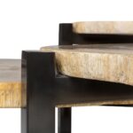 ONO Petrified Wood Set of 3 Tables featuring organic slab fossil tops and dark nickel steel legs – timeless, hand-finished accent tables 50–65 cm wide.