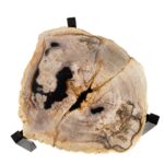 ONO Petrified Wood Set of 3 Tables featuring organic slab fossil tops and dark nickel steel legs – timeless, hand-finished accent tables 50–65 cm wide.