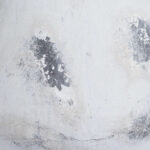 NAXOS Large Antique White Vase – Handcrafted ceramic vase with antique white stone finish, ideal for faux florals or as a standalone decorative accent.